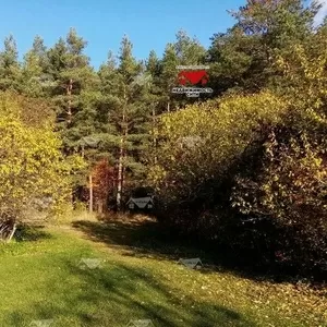 Дача с большим участком крайняя возле леса