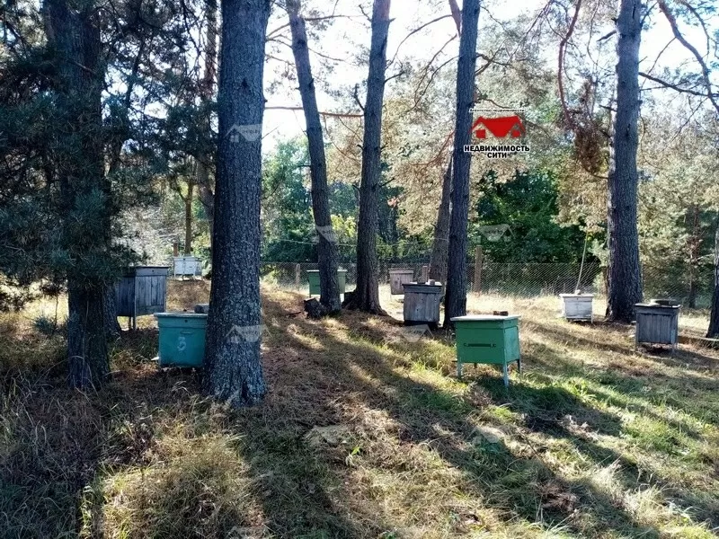 Готовое фермерское хозяйство. Хоз.постройка. 4 га земли. Техника. 8